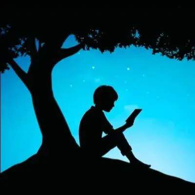 Noah Brooks avatar