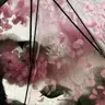 nyuu avatar