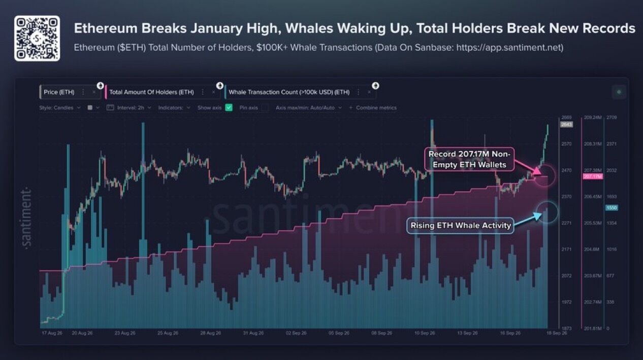 Ethereum reaches $2,630 as whale activity and wallet count rise