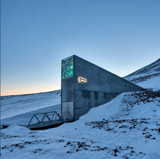 Bitcoin's Code Is Preserved in an Arctic Vault Built to Last 1,000 Years