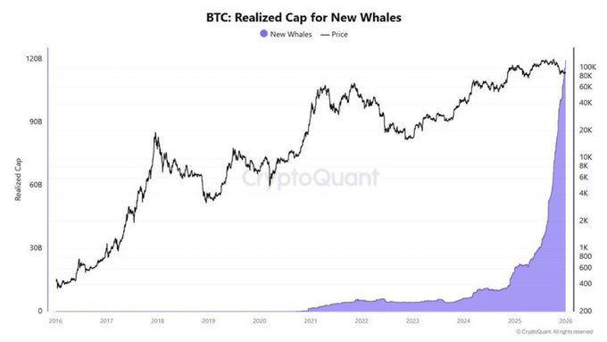 Bitcoin whale accumulation heats up