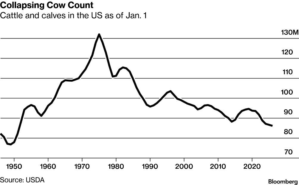 Beef prices stay high as cattle herd shrinks
