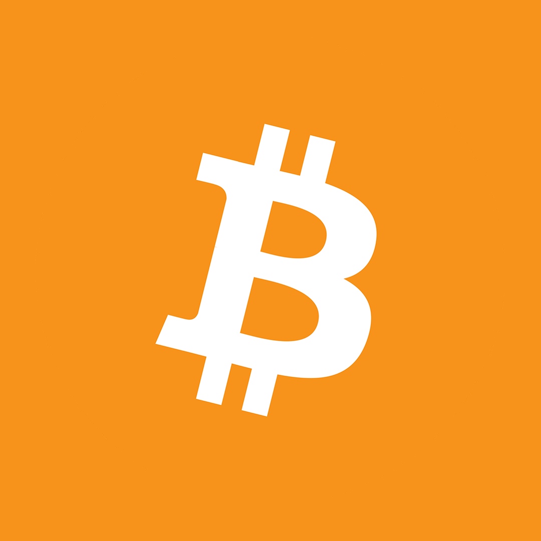 Past Bitcoin returns can dramatically change investor behavior