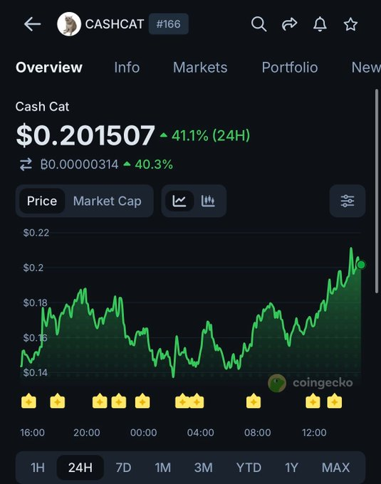 CASHCAT crosses $200M market cap