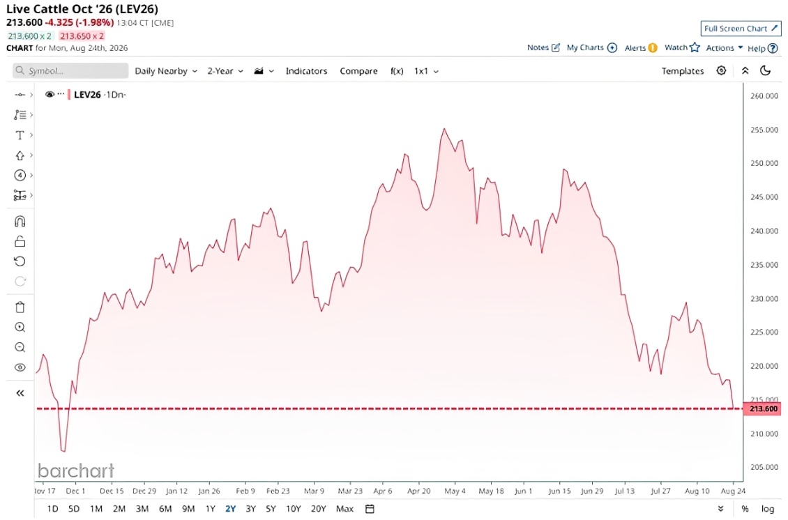 Cattle Prices Fall to Lowest Level Since November