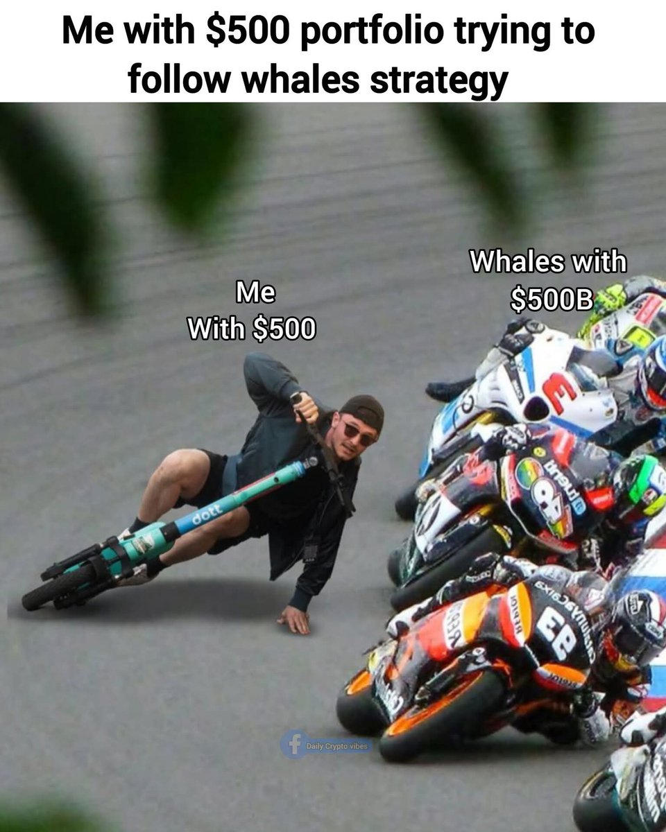 Me following whale wallets with $500 in my account
