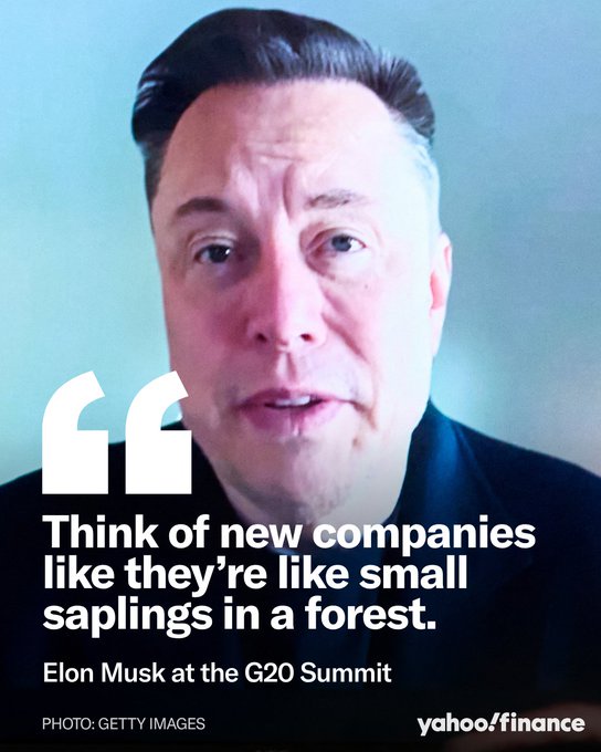 Elon Musk Says Startups Need Support Like “Small Saplings in the Forest”